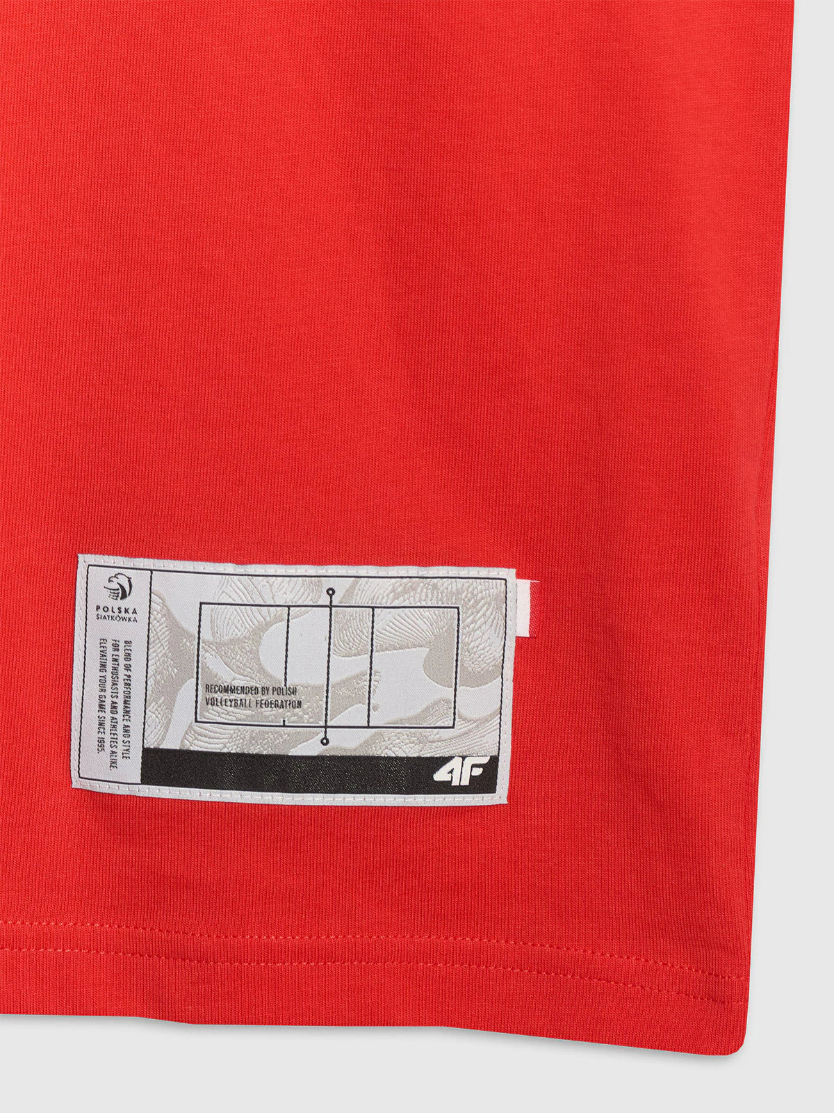 T-shirt regular z nadrukiem siatkarskim męski