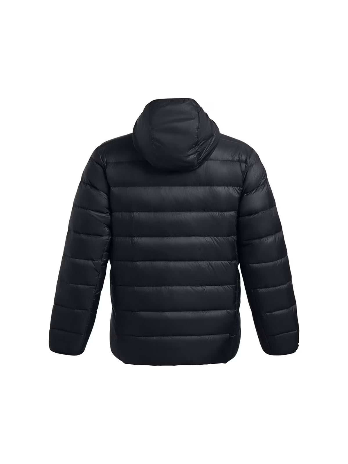 Kurtka puchowa z wypełnieniem naturalnym męska Under Armour Legend Down Hooded Jacket