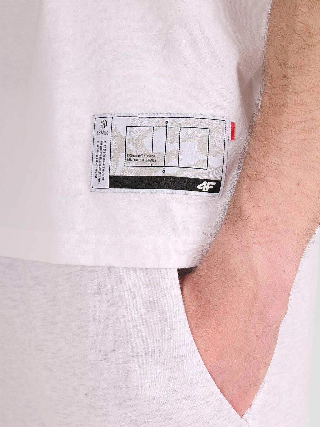 T-shirt regular z nadrukiem siatkarskim męski
