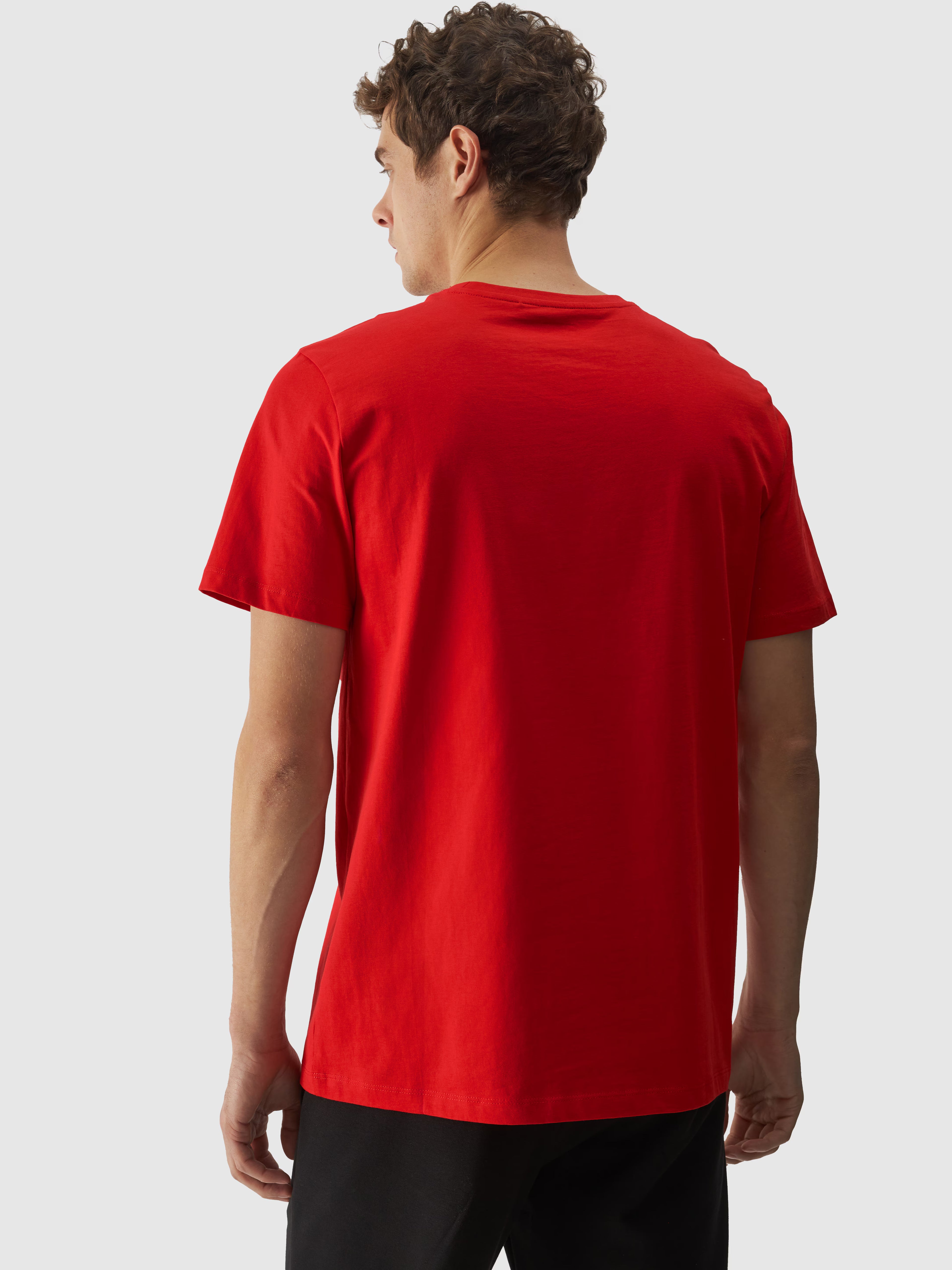 T-shirt regular z nadrukiem męski