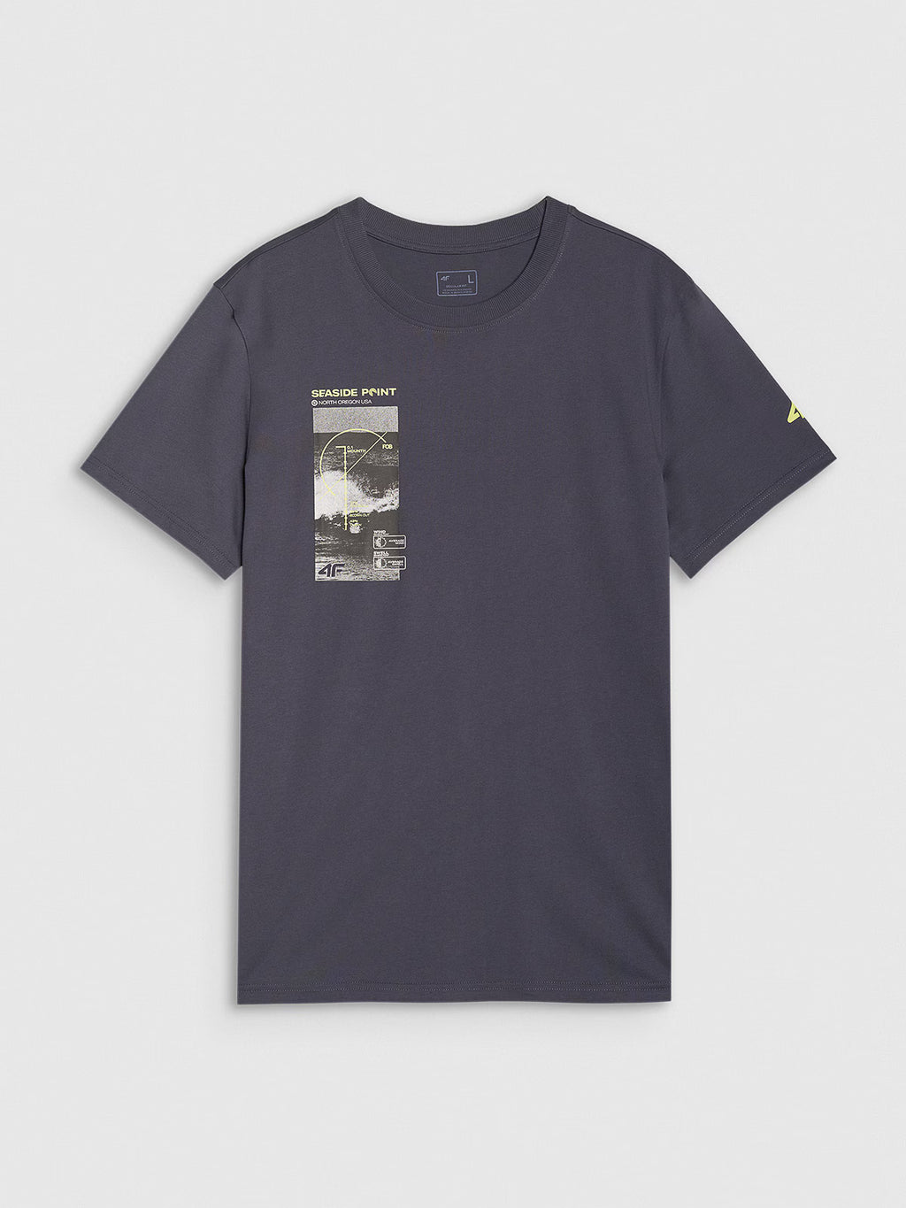 T-shirt regular z nadrukiem męski