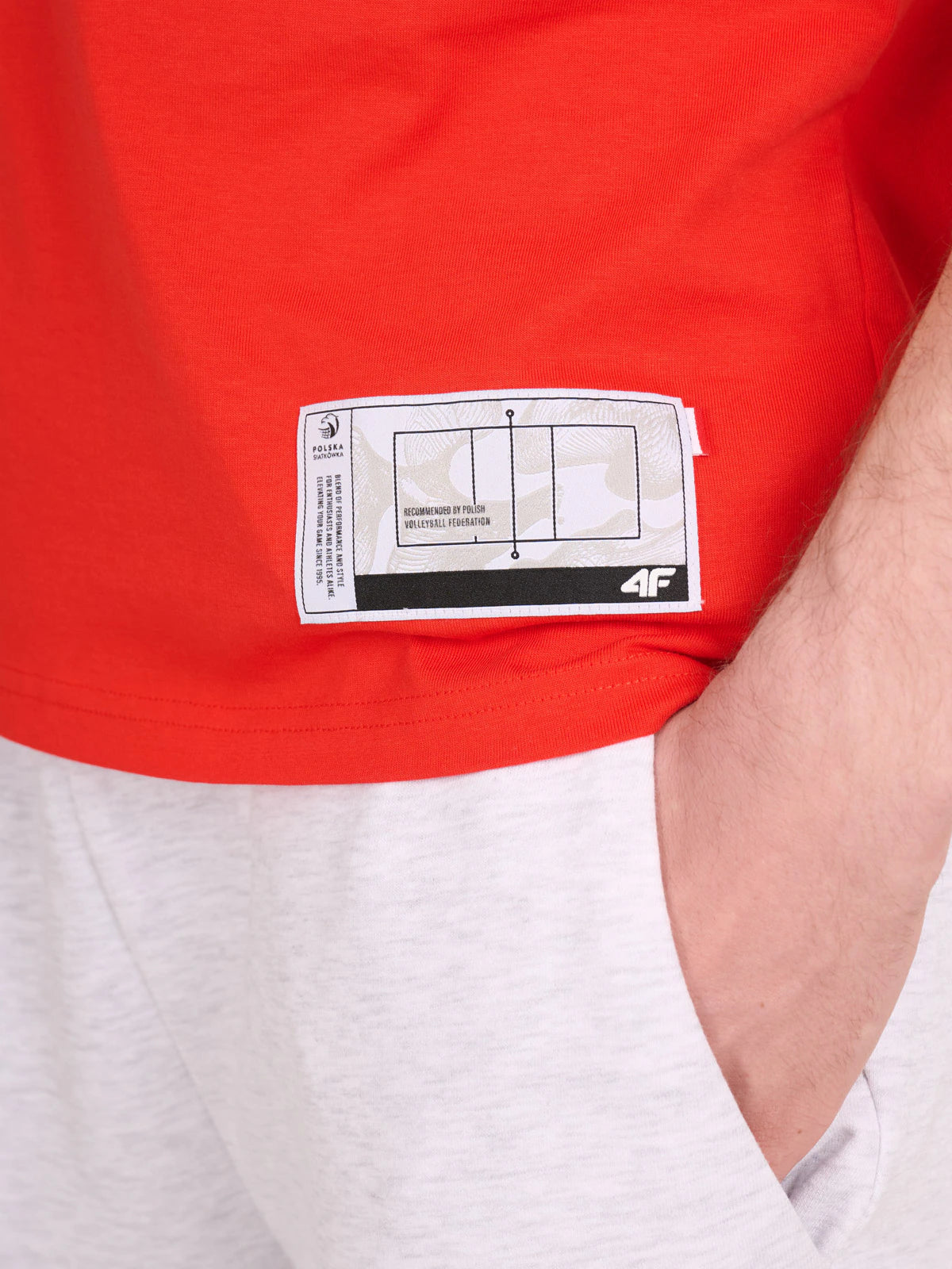T-shirt regular z nadrukiem siatkarskim męski