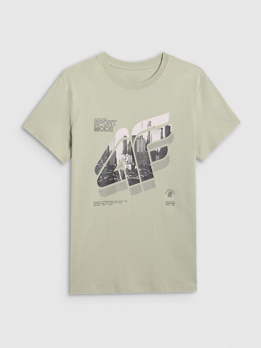 T-shirt regular z nadrukiem męski