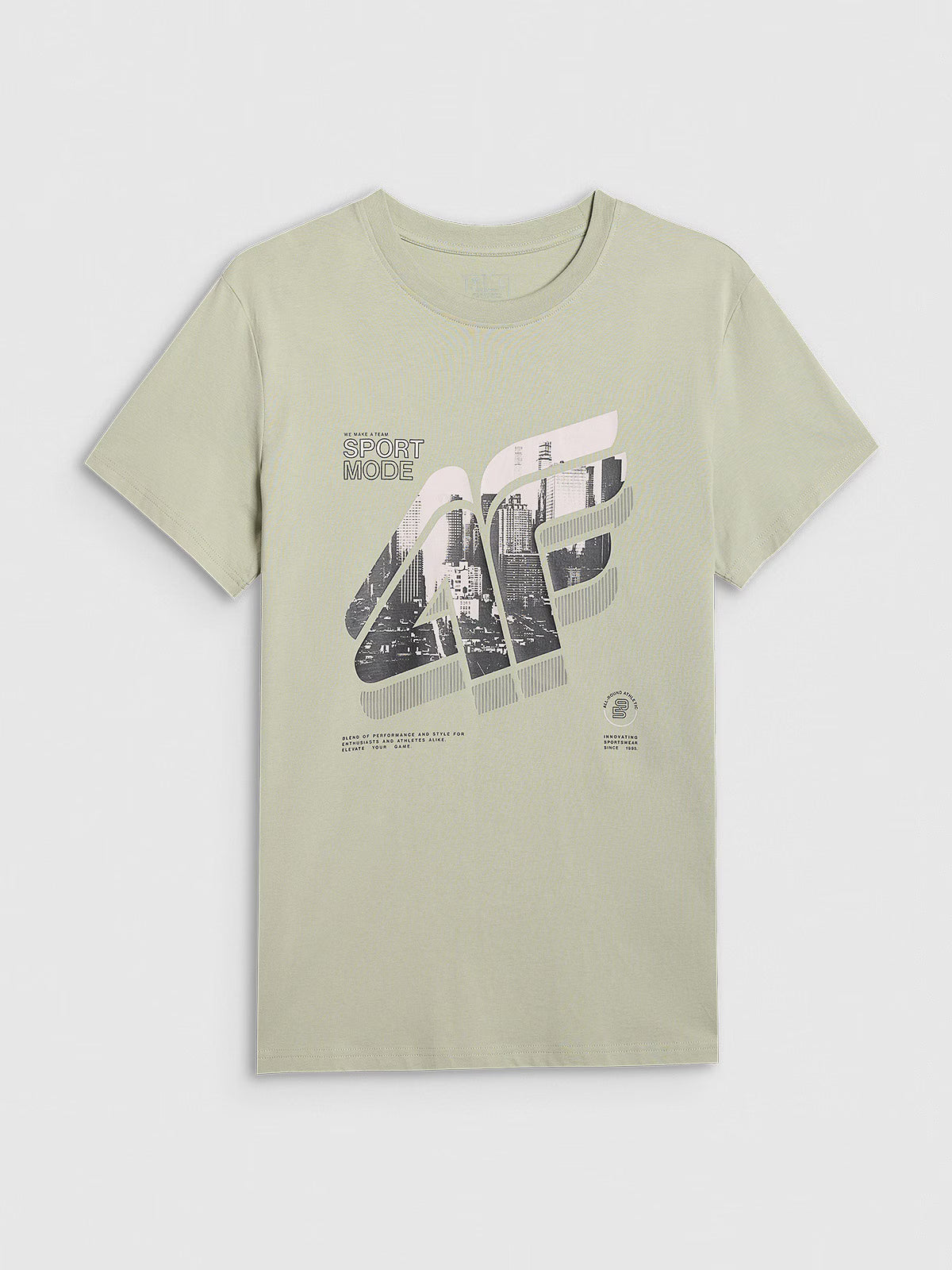 T-shirt regular z nadrukiem męski
