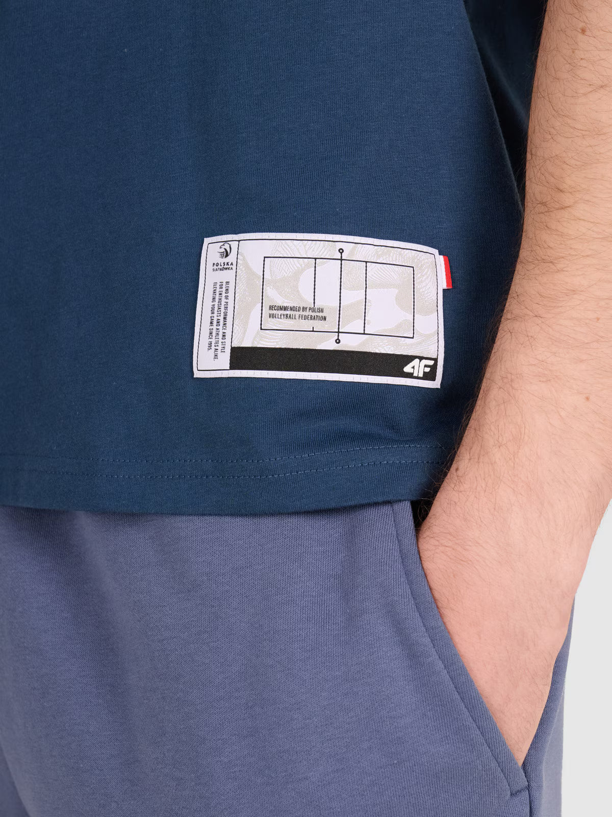 T-shirt regular z nadrukiem siatkarskim męski