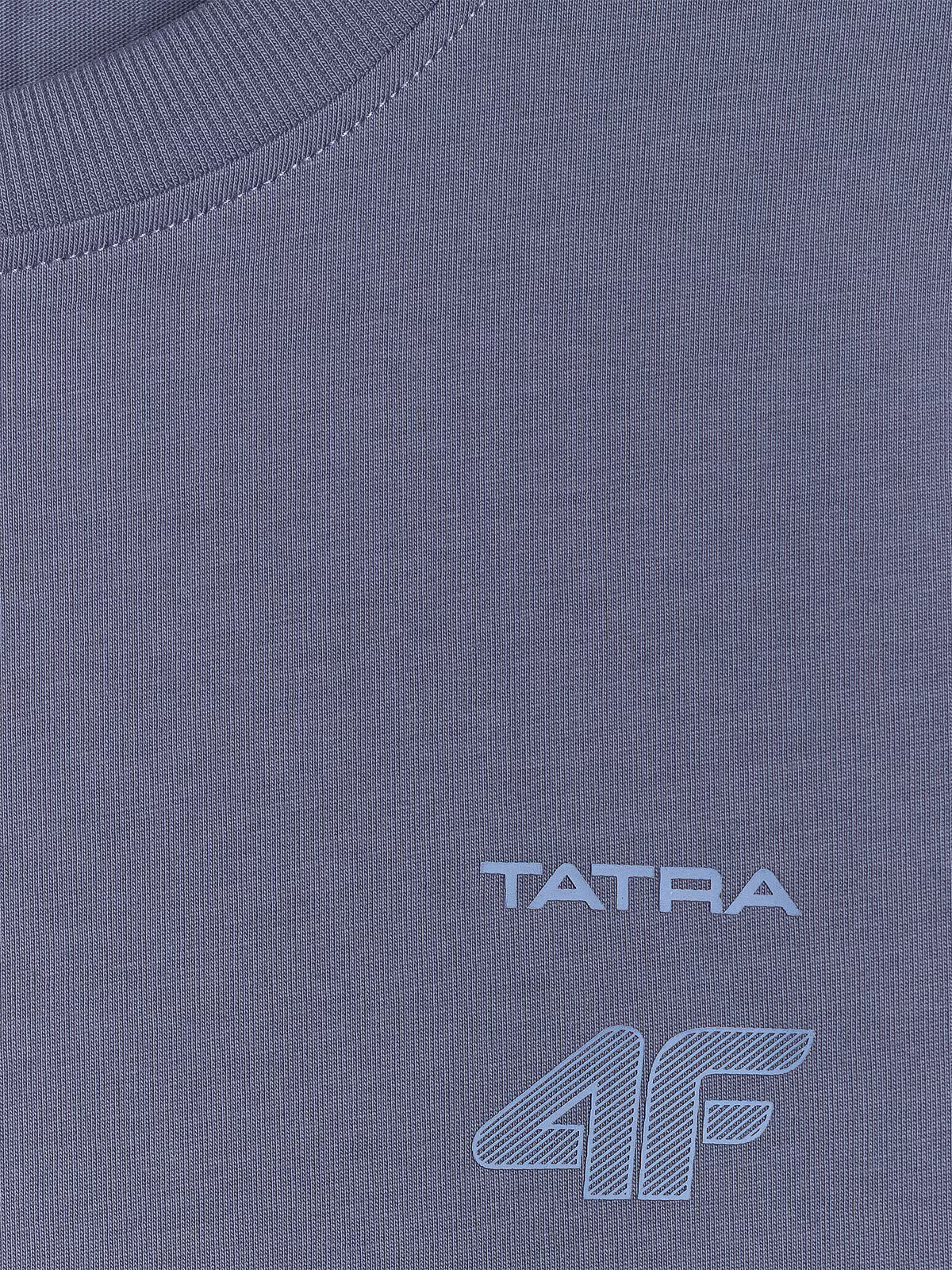 T-shirt regular z nadrukiem męski