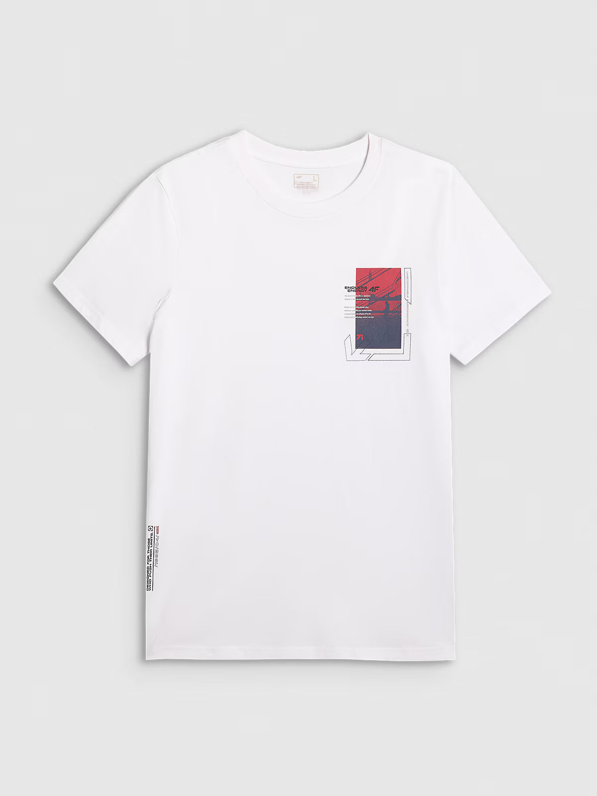T-shirt regular z nadrukiem męski