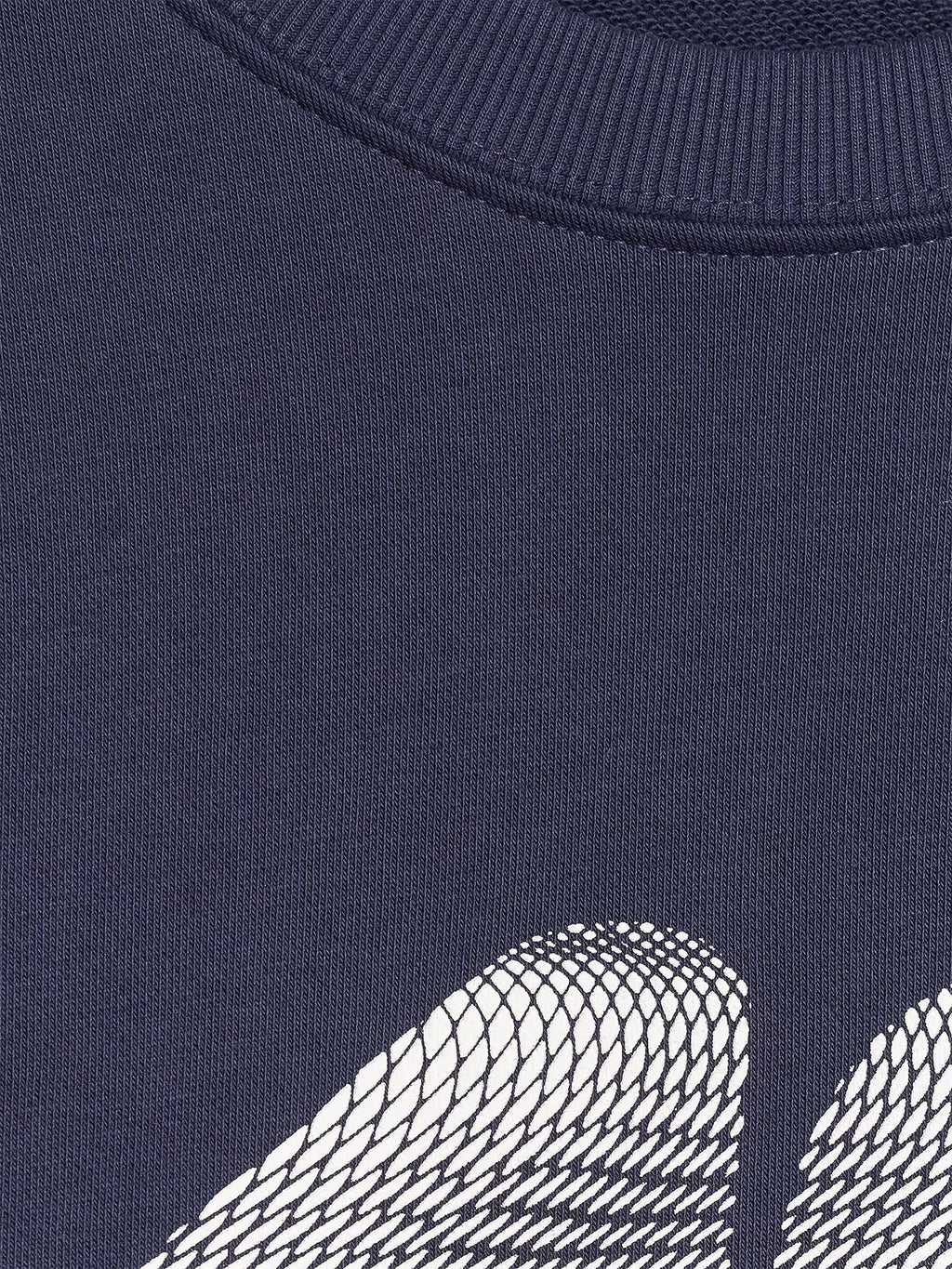 Bluza dresowa nierozpinana bez kaptura męska