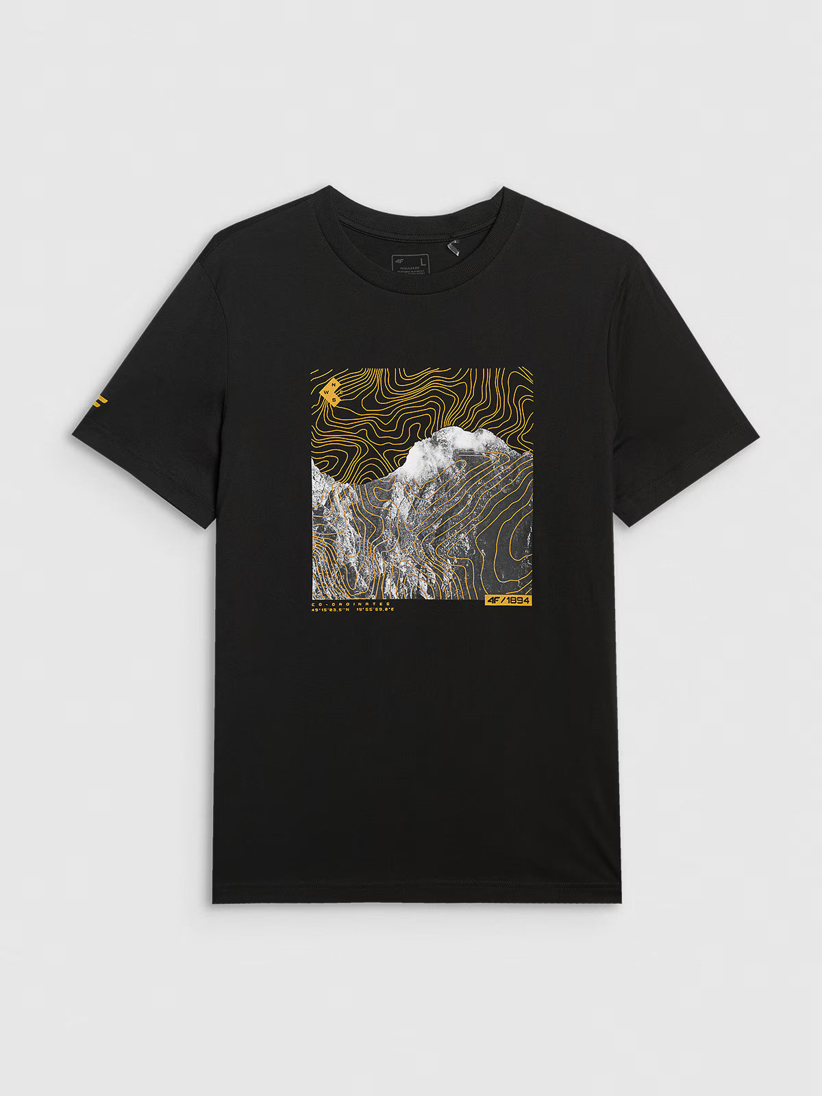 T-shirt regular z nadrukiem męski