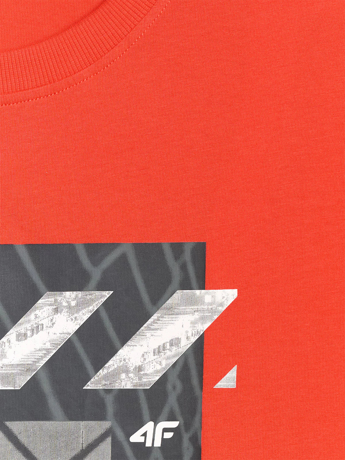 T-shirt regular z nadrukiem męski