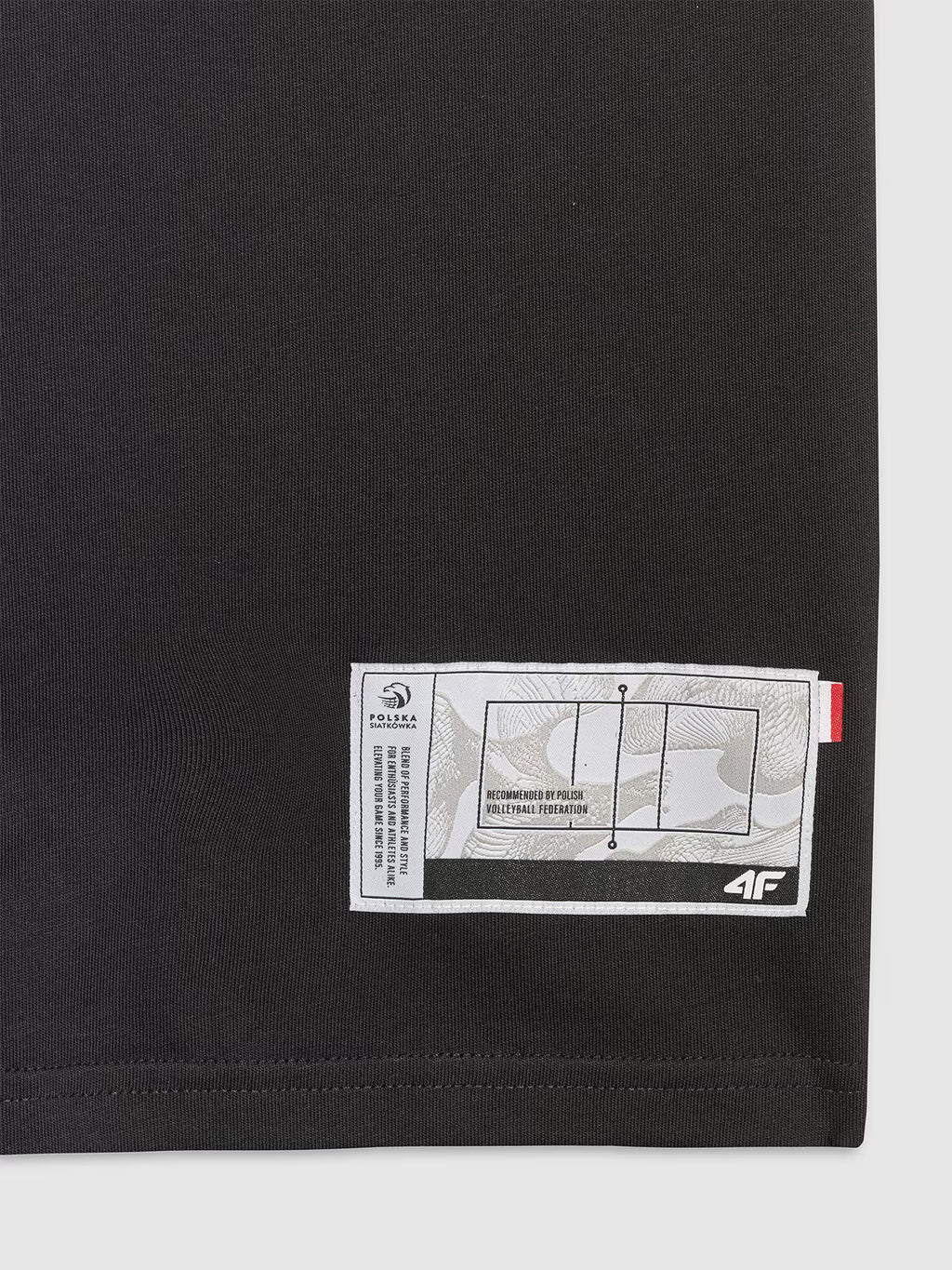 T-shirt regular z nadrukiem siatkarskim męski