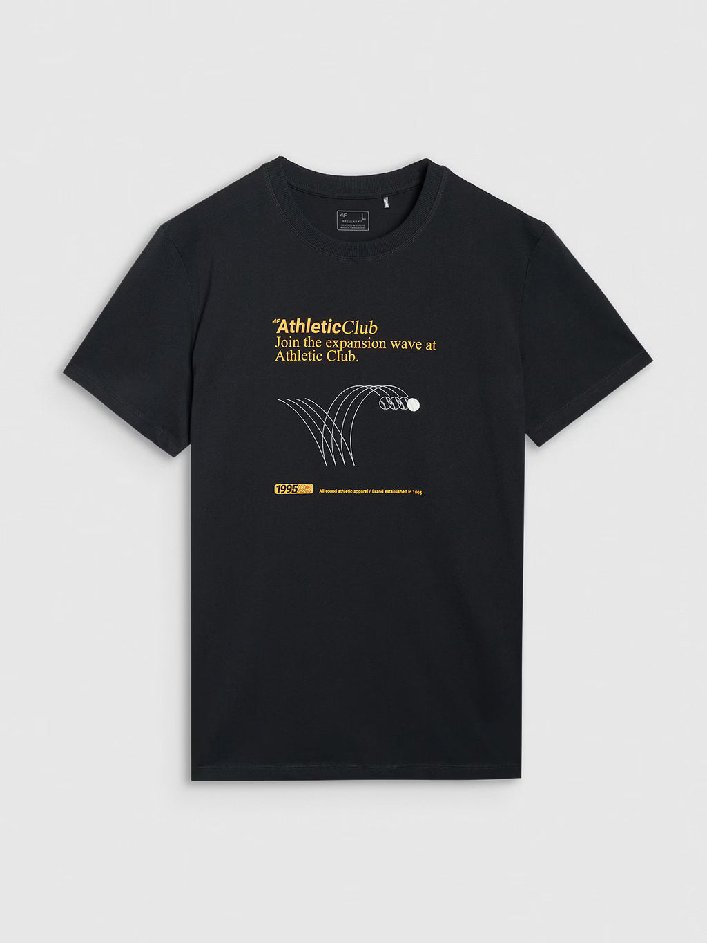 T-shirt regular z nadrukiem męski