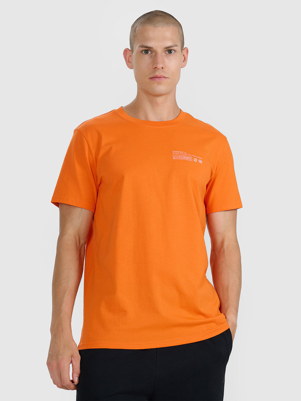 T-shirt regular z nadrukiem męski