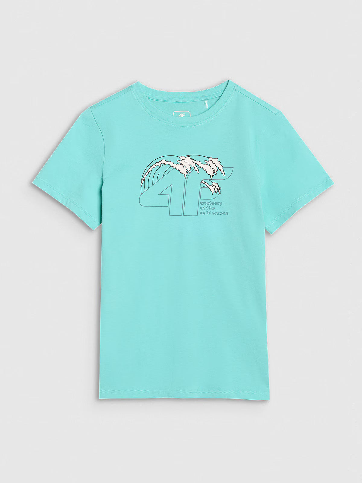 T-shirt regular z nadrukiem chłopięcy