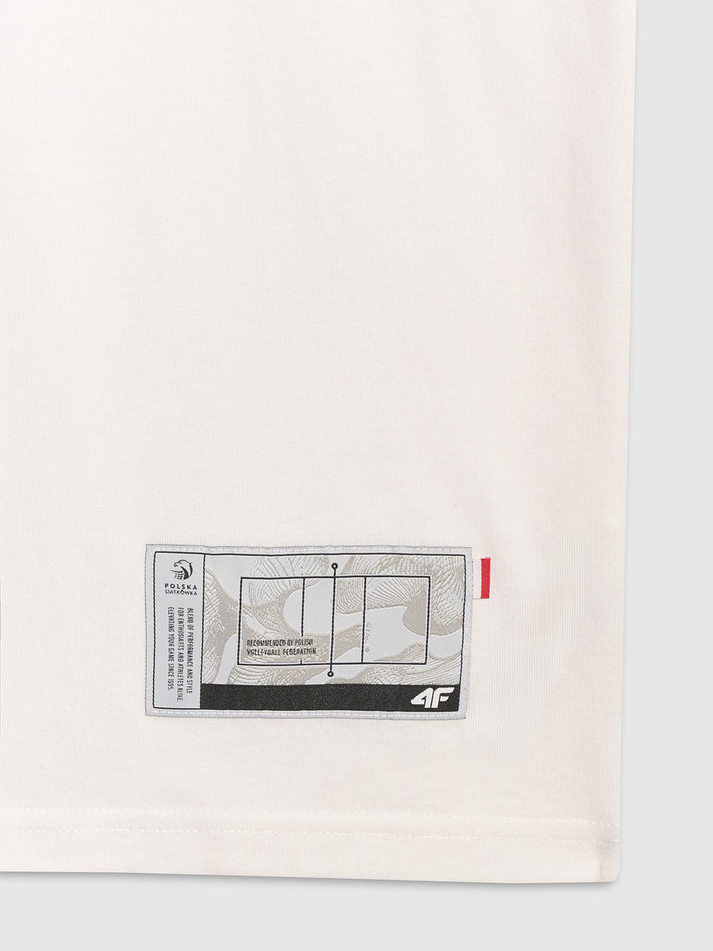 T-shirt regular z nadrukiem siatkarskim męski