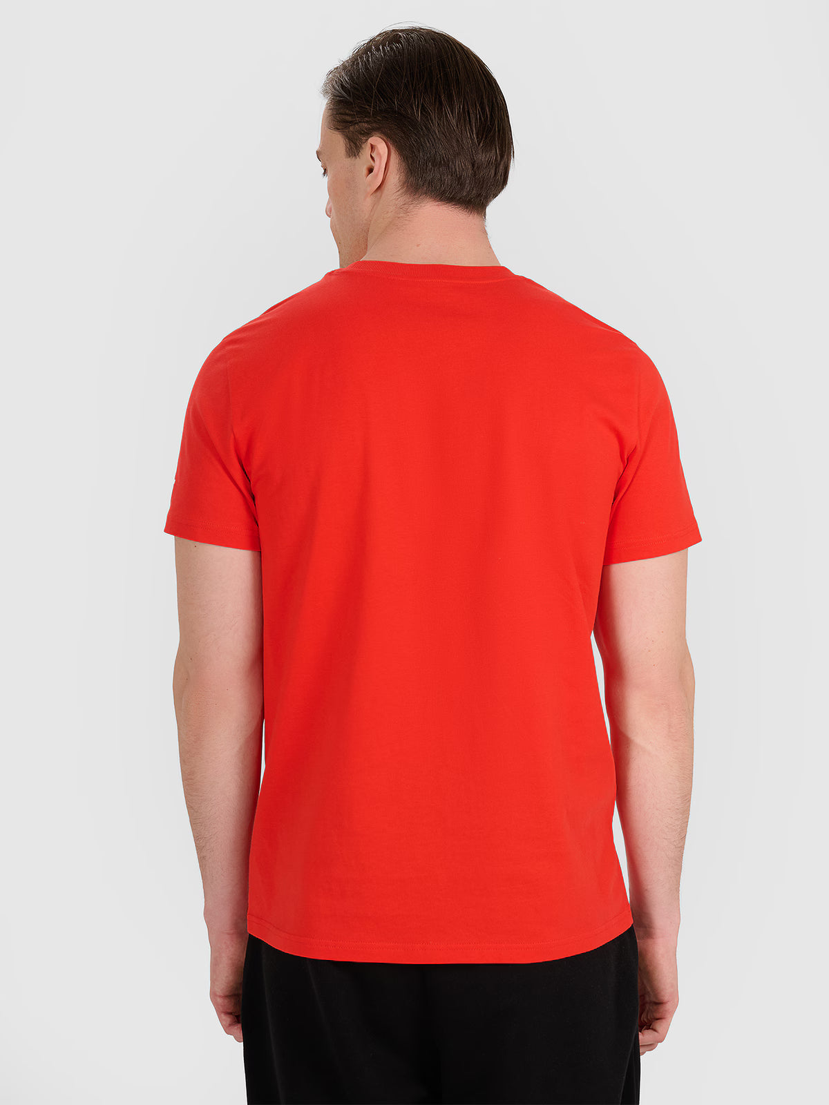 T-shirt regular z nadrukiem siatkarskim męski