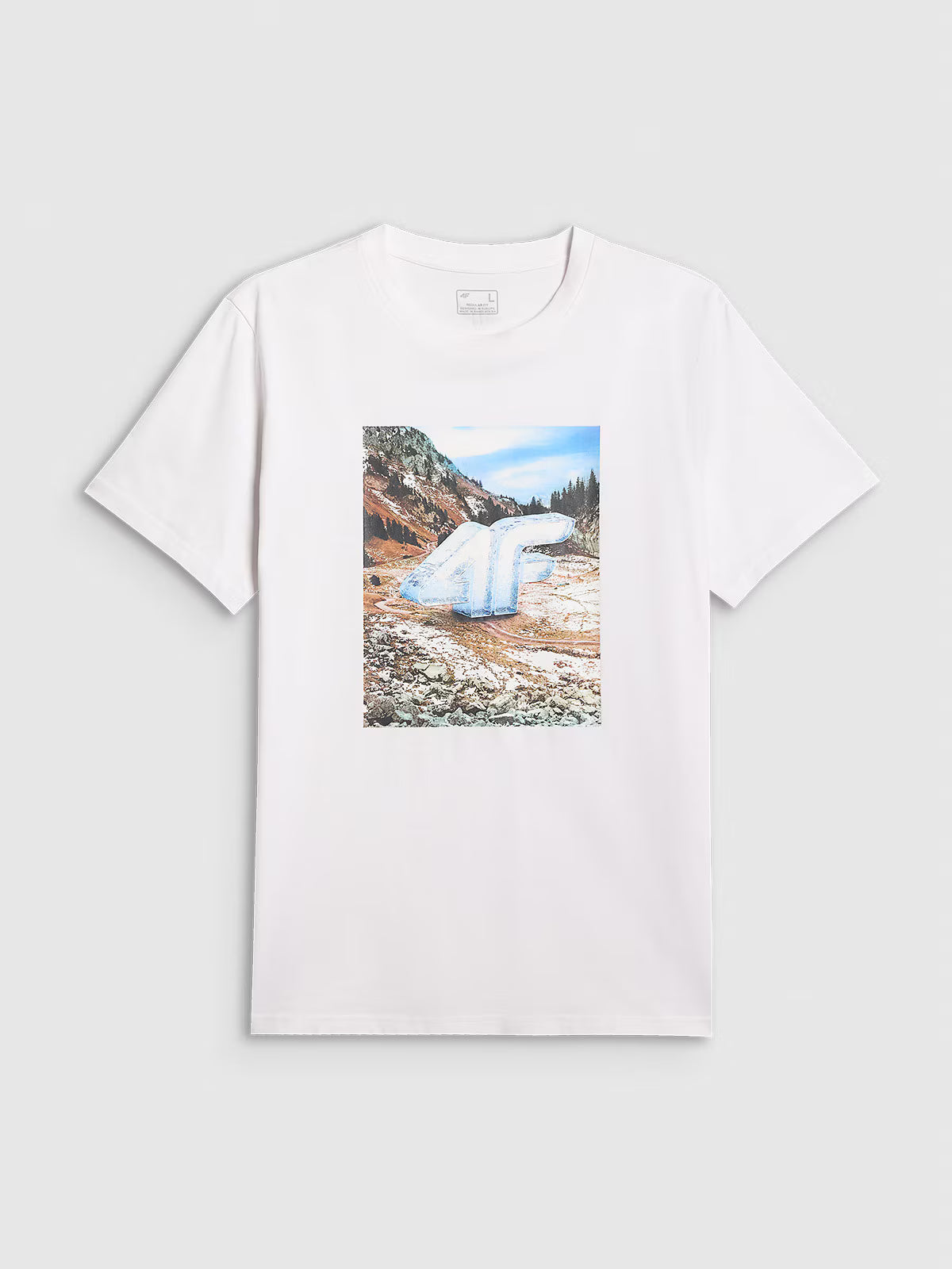 T-shirt regular z nadrukiem męski