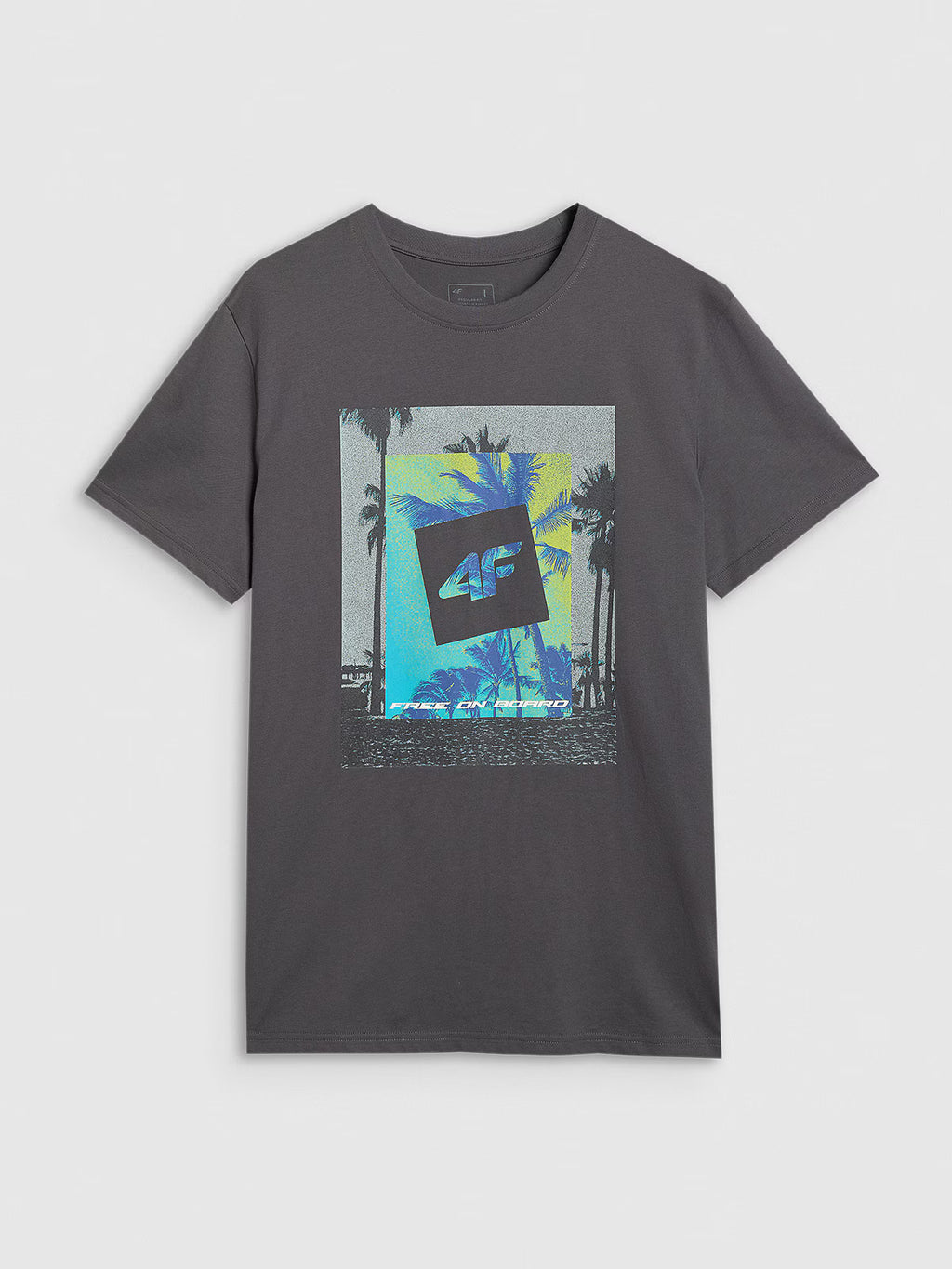 T-shirt regular z nadrukiem męski