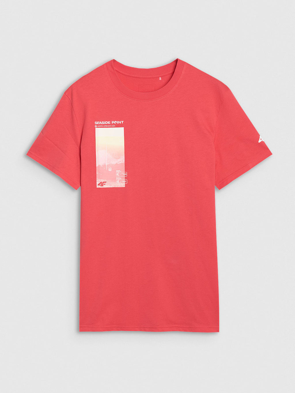 T-shirt regular z nadrukiem męski