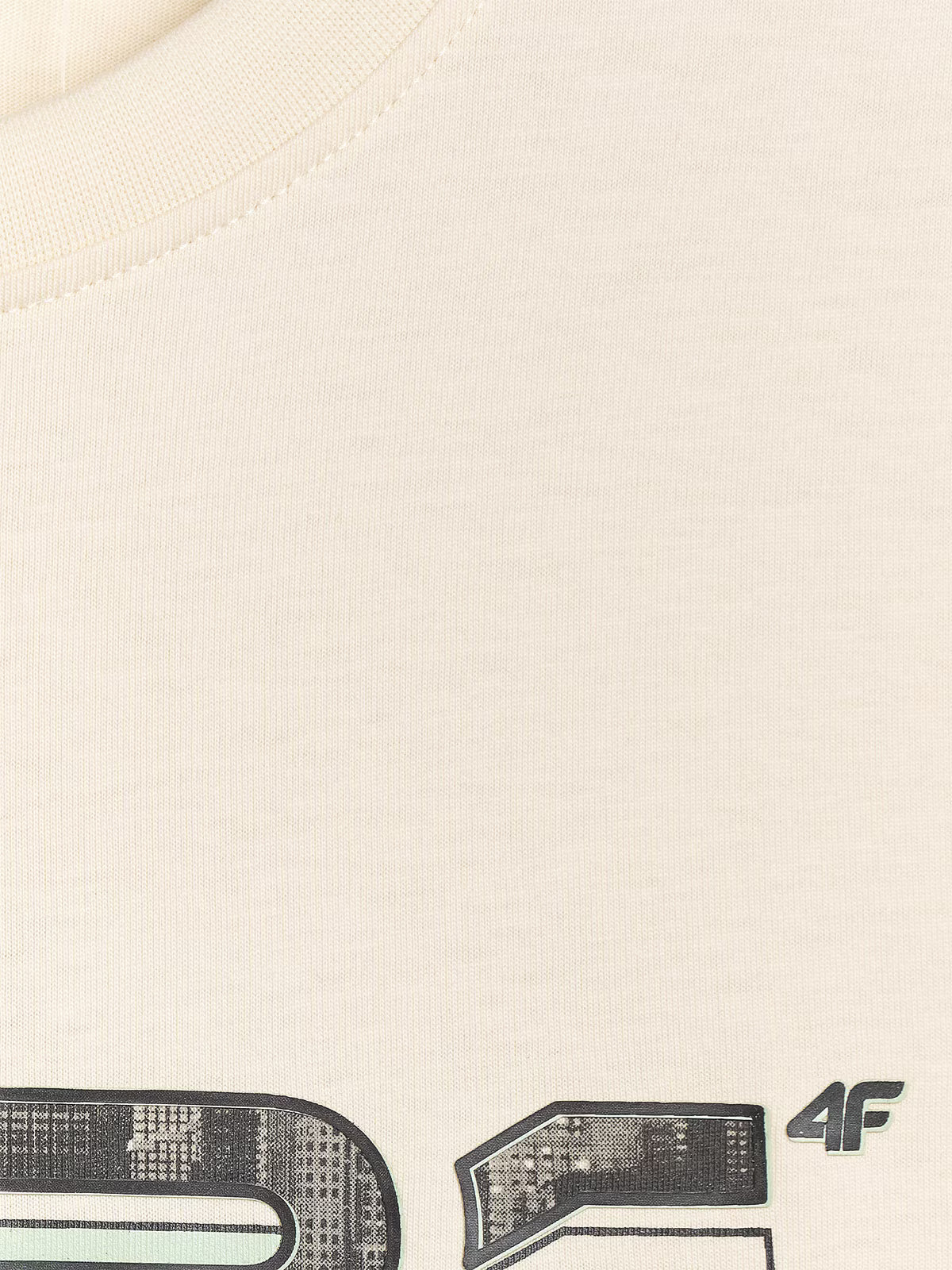 T-shirt regular z nadrukiem męski