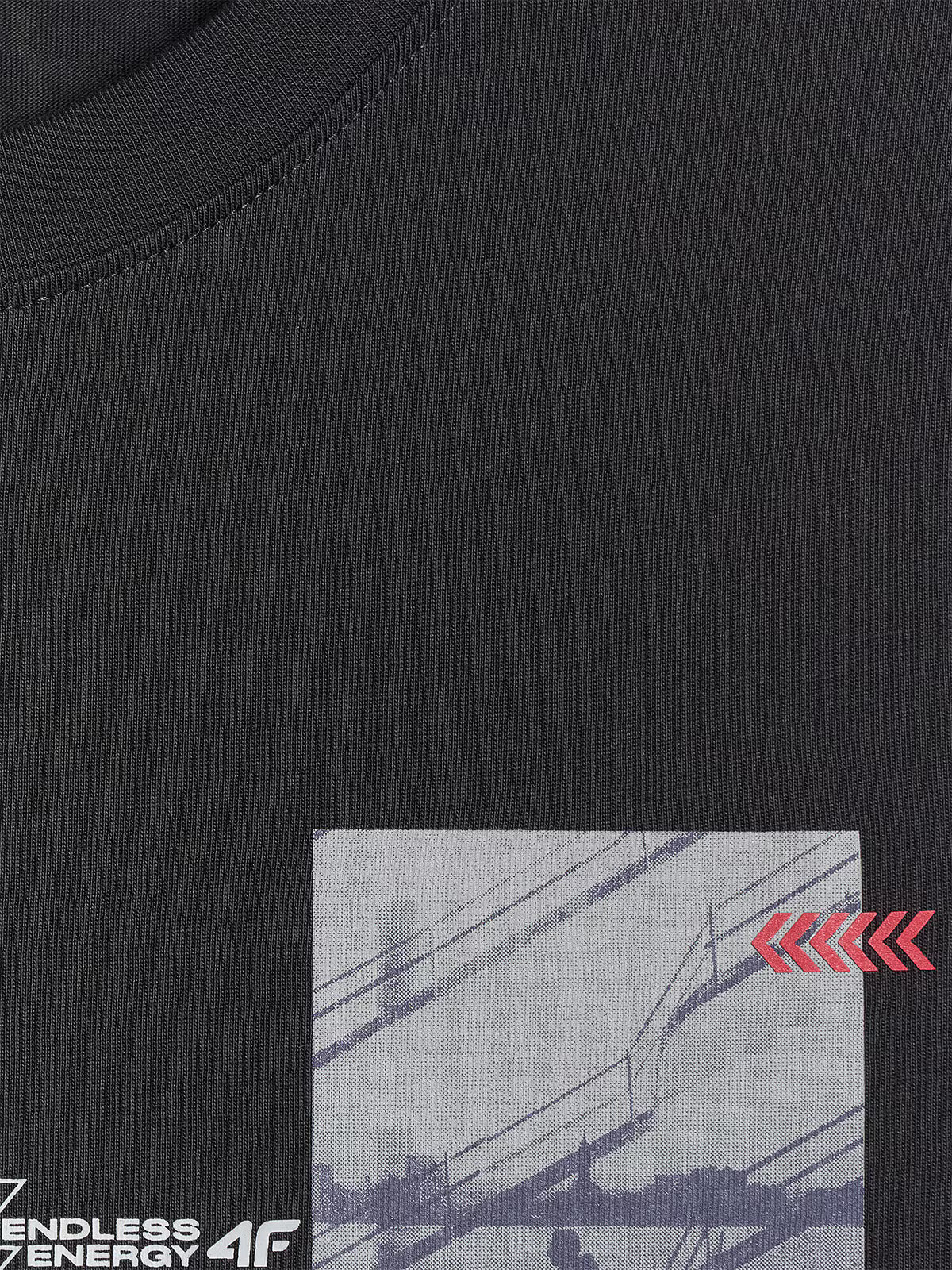 T-shirt regular z nadrukiem męski
