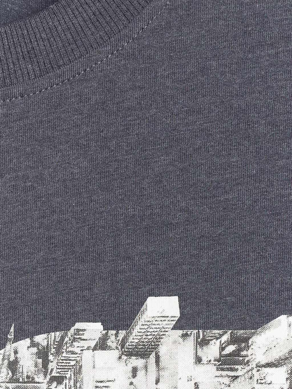 T-shirt regular z nadrukiem męski
