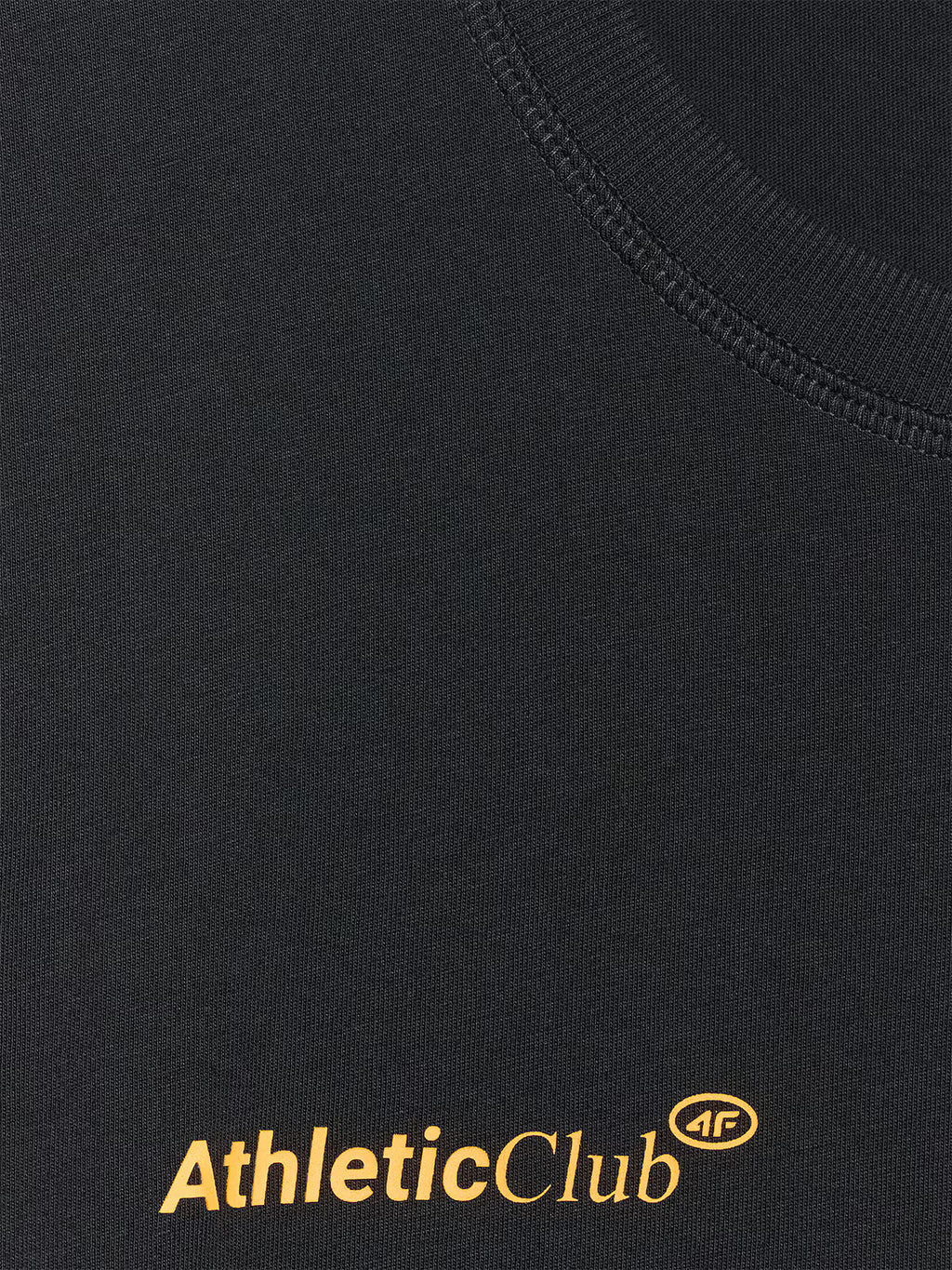 T-shirt regular z nadrukiem męski