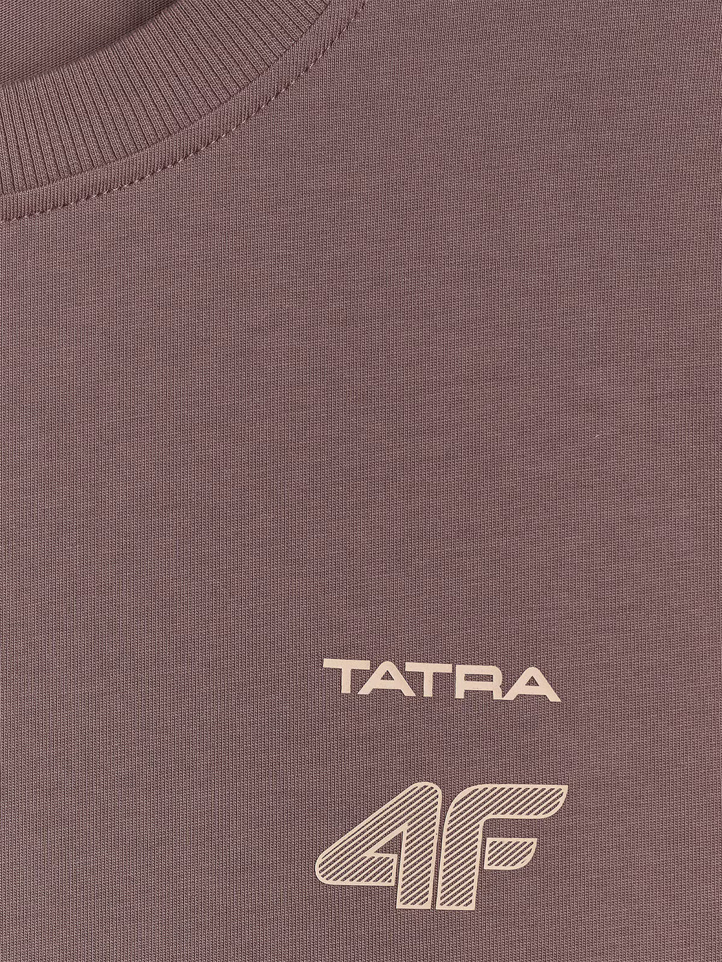 T-shirt regular z nadrukiem męski