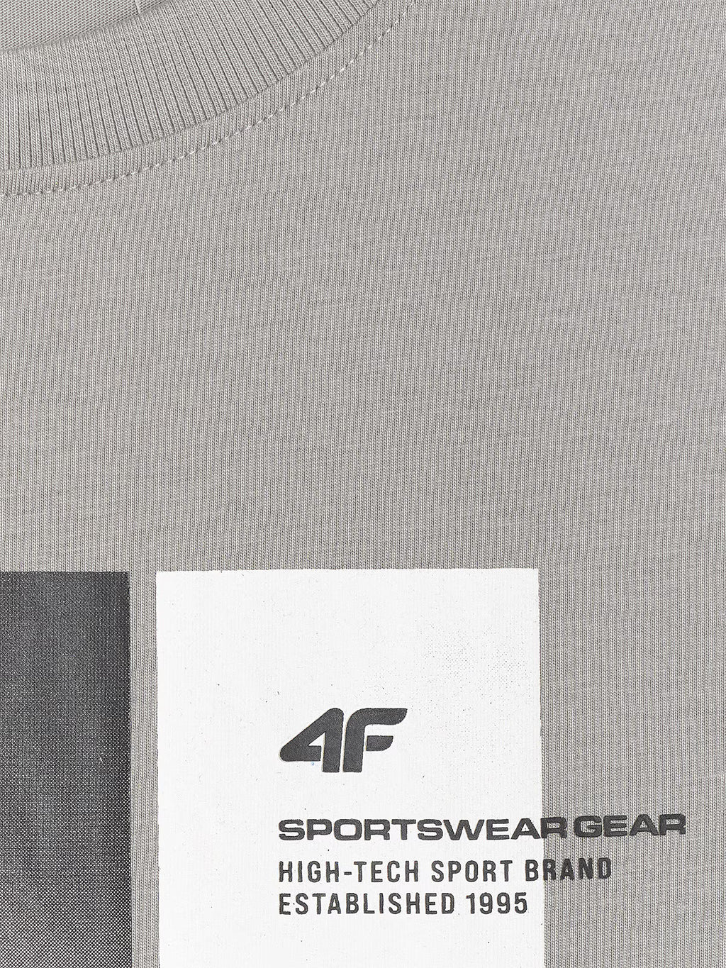 T-shirt regular z nadrukiem męski