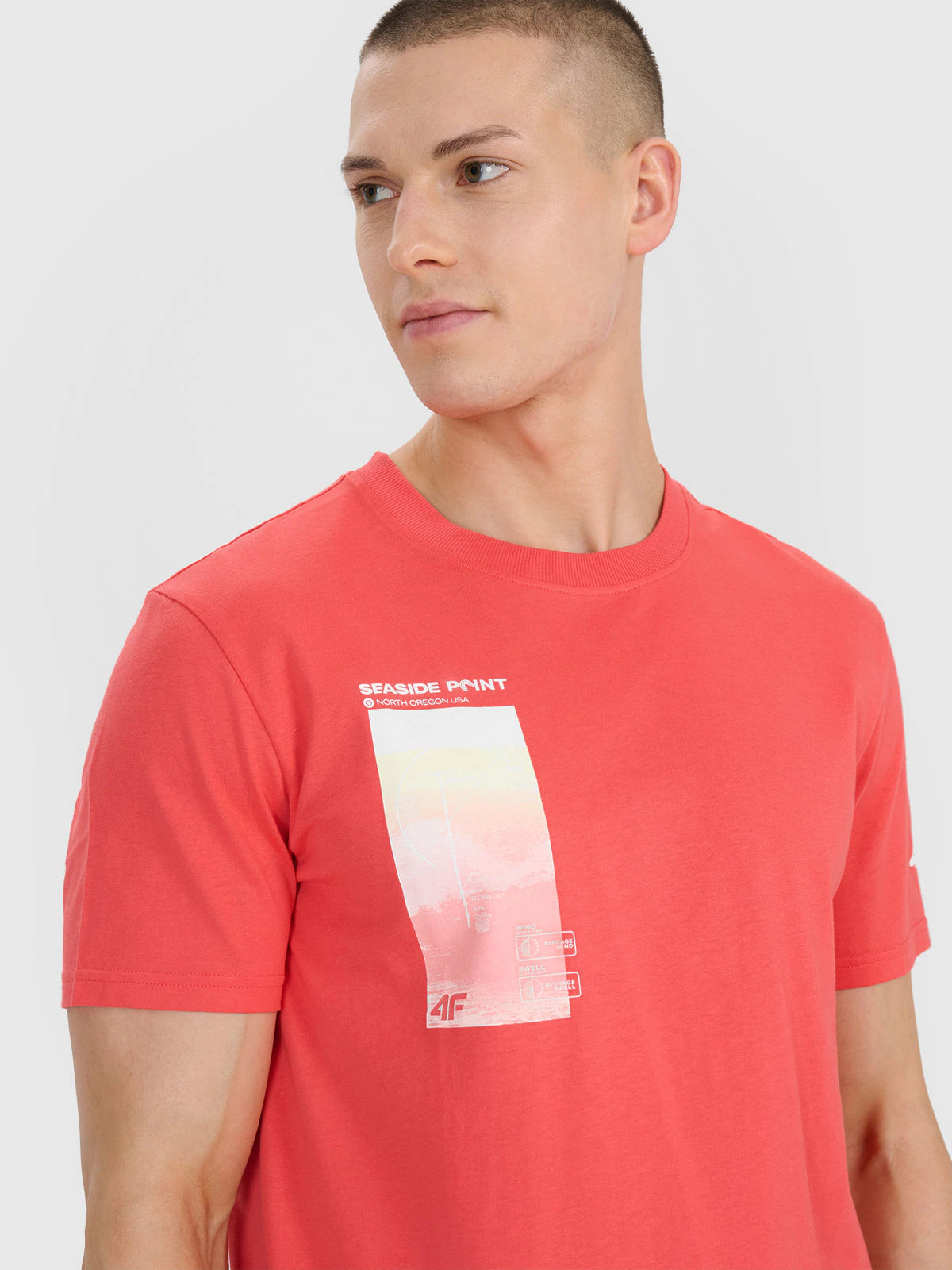 T-shirt regular z nadrukiem męski